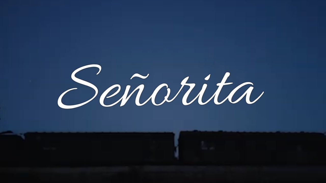Señorita | Shawn Mendes, Camila Cabello | Lyrics | Acoustic | Gajpal S G