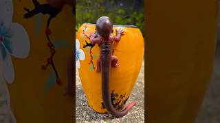 He Went Completely Out of Control! 😂💥#Unexpected, #FunnyVideo, #Viral, #ViralShorts,