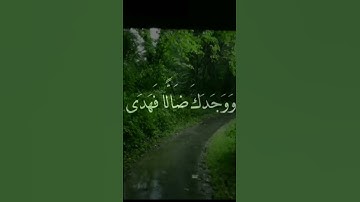 سورة الضحى القارئ علي جابر