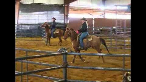 *Sold* Hontubby Heaven - 3 Man 2 Gate Ranch Sorting