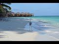 Vacation in paradise! Maldives. Fihalhohi Island Resort. December 2020.
