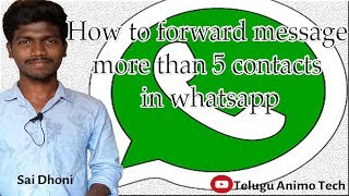 How to forward message more than 5 contacts in Whatsapp || Telugu Animo Tech || SP Creations