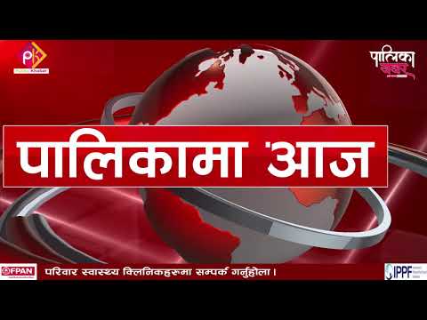 पालिकामा दिनभरः गुठीचौरका एकल पुरुषलाई भत्ता, थलाराको पहिरोमा परेका अझै बेपत्ता (भिडियो खबर)