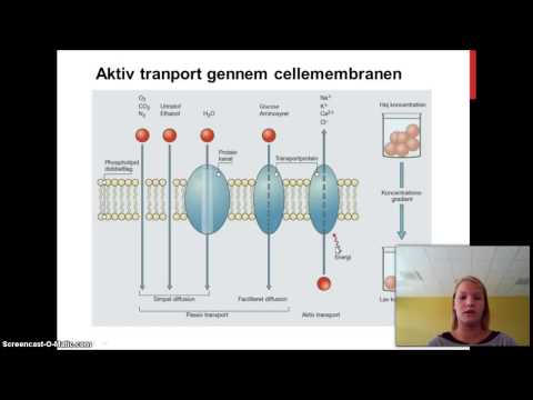 Video: Forskjellen Mellom Osmose Og Aktiv Transport