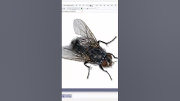 Why am I allowed to make games #gamedev #gaming #pixelart #gamedevelopment