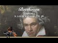 Beethoven - Sinfonia n. 2 in re maggiore, Op. 36