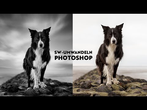 Video: So Erstellen Sie Ein Farbfoto In Schwarzweiß Ohne Photoshop