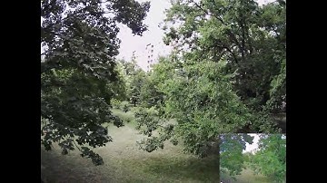 PMB/Emuflight Cinematic Dynamic Rates Test (First flight)