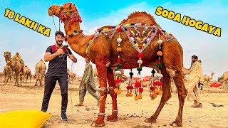 ALHAMDULILLAH 18 LAKH K 3 CAMELS 🐪 LELIYE😍| CAMEL MANDI | QURABANI VLOG| BAKRA EID 2023