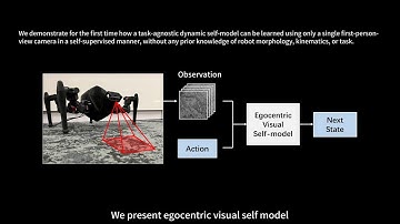 Egocentric Visual Self-Modeling for Autonomous Robot Dynamics Prediction and Adaptation