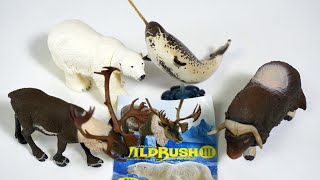 Kaiyodo WILD RUSH Vol.3 Arctic Circle (Gashapon capsule toys)