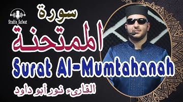 سورة الممتحنة Surat Al-Mumtahanah القارىء نور ابو داود