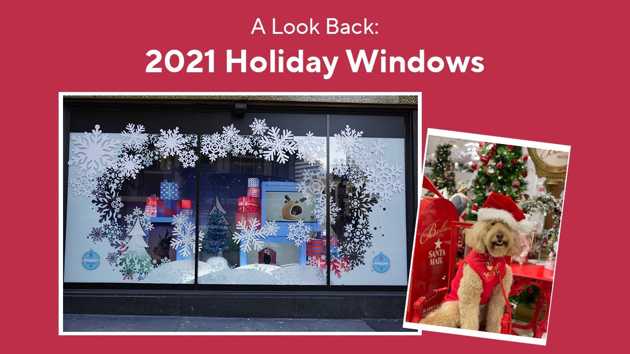 Holiday Windows at Macy's Union Square Was A Blast! SF SPCA YouTube