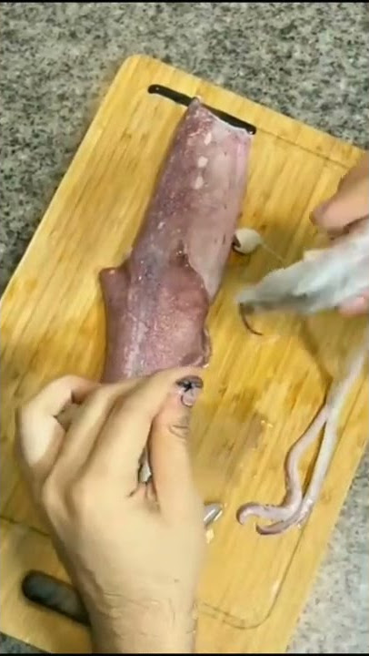 Cara membersihkan cumi cumi