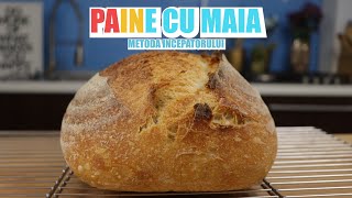 Paine de casa cu maia pentru incepatori