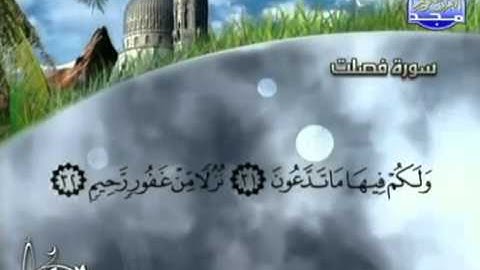 الشيخ محمد أيوب   تلاوات مختارة   سورة فصلت