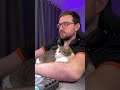 Зацикленные меню для ресторана из Великобритании в After Effects