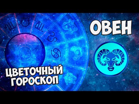 Какие растения посадить дома? 🌟  Цветы по знакам зодиака ОВЕН