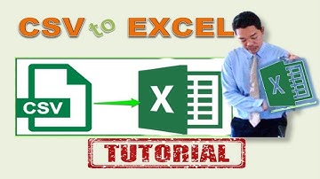 Mudah Merubah File CSV Menjadi Tampilan Kolom di Excel
