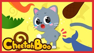 Oh no❕ Could you find my tail❔ | Animals for kids | Nursery Rhymes | Kids Songs #Cheetahboo