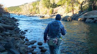 Arkansas River Fishing Report | Buena Vista CO | Surf Wave Update + Fall Fly Fishing Tips