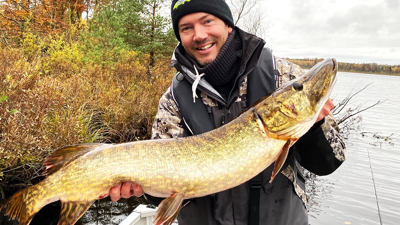 HÖSTFISKE efter GÄDDA i en liten sjö - Inte helt 100