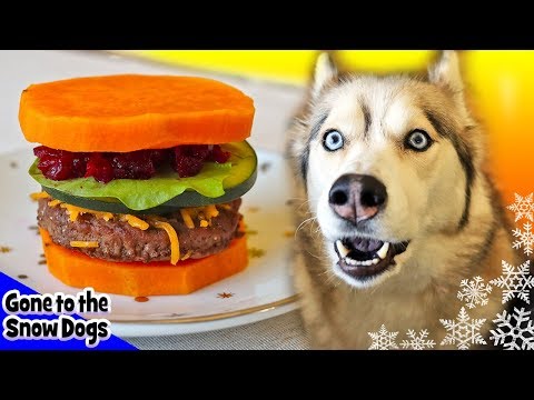 Videó: Hogyan készítsünk hamburgert a kutyáknak