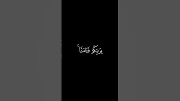 رَبَّنا إِنَّكَ مَن تُدخِلِ النّارَ فَقَد أَخزَيتَهُ || كروما قران كريم شاشة سوداء || نادر عزيز