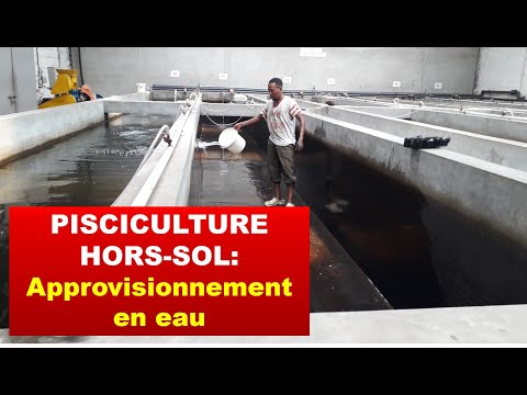 Vidéo: Système d'approvisionnement en eau - son appareil et quelques conseils pour sa conception