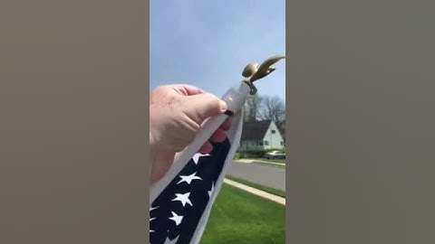 How to keep you flag from getting tangled