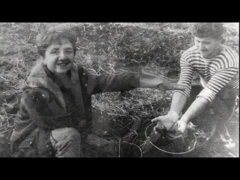 Студенты СССР в колхозе Студенты СССР в колхозе