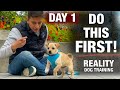 How to Train the FIRST 5 THINGS to ANY Puppy! Reality Dog Training