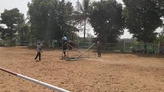 Vivek astride Equanimity Brilliant Horseback Riding Jumping and Schooling at Kings Farm Equestrian