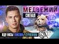 КРИПТОВАЛЮТА жду иксы Toncoin/Cypherium | Медвежий сигнал для БИТКОИН |  Помощь пострадавшим