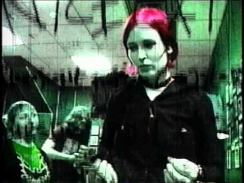 Watch Nice Cat - DC on YouTube Watch Nice Cat - DC on YouTube