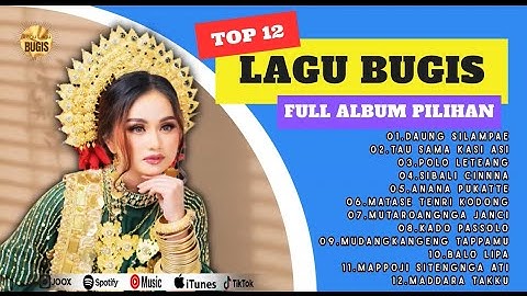KUMPULAN LAGU BUGIS VIRAL FYP TIKTOK 2025 - DAUNG SILAMPAE (DokumentasiVideo Dokumentasi Pengantin