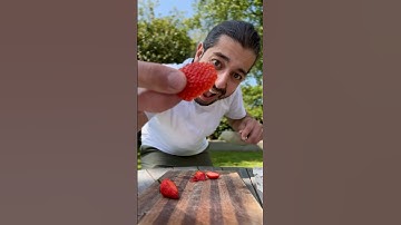How to Grow Berries with a Slice | creative explained