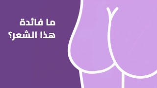 علميا، لماذا يوجد شعر على مؤخرتك؟