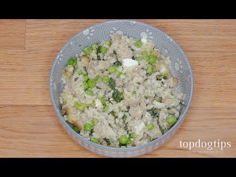 homemade-dog-food-with-cottage-cheese-(high-in-vitamins-and-minerals)