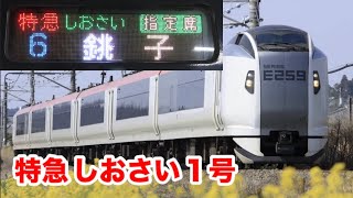 【E259系しおさい運行開始】特急しおさい1号に乗った！東京→銚子