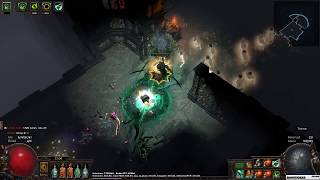 Path of Exile 3.1 | T9 Sepulchre Map and Boss