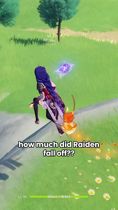 The DownFall Of Raiden Shogun
