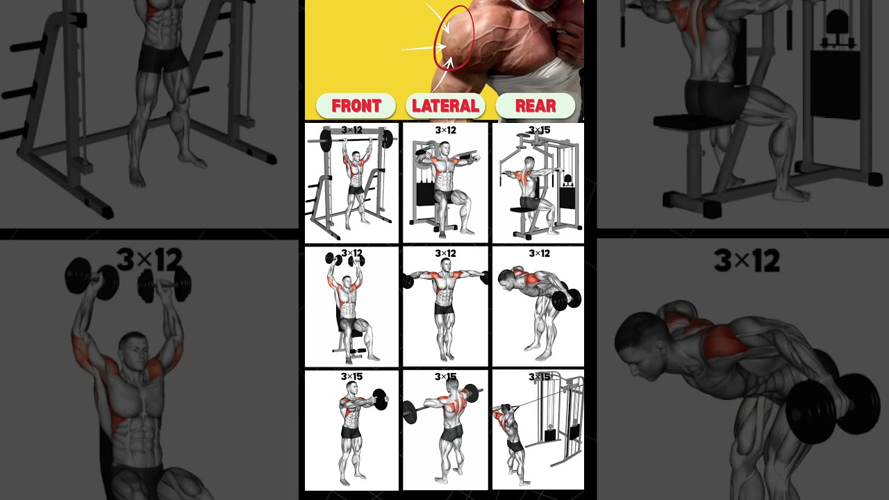 9 Ultimate Shoulder Workout To Transform Upper Body Shoulderworkout