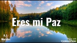 Eres Mi Paz (video official letras)