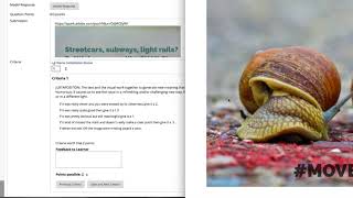 Giving Self and Peer Feedback in Blackboard Net Worth