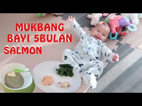 ISLA MUKBANG MPASI SALMON | DWI ENDAH PUSPARINI SHELDS