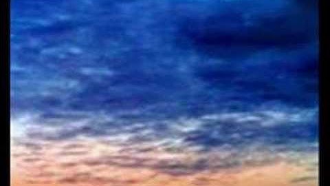 سورة الحجرات - الشيخ صلاح بوخاطر