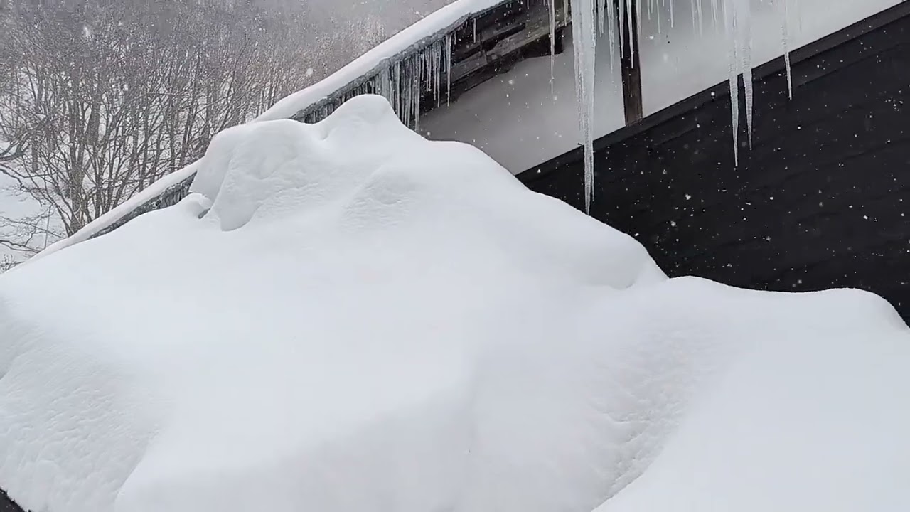 202502雨水後-重遊秋田乳頭溫泉鄉（鶴之湯）