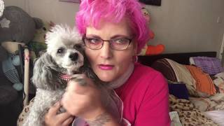 Unboxing Birchbox September 2017 With A Poodle