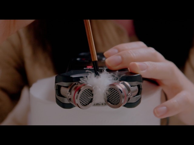 타스캠 샀당 마이크 테스트 귀청소 ASMR